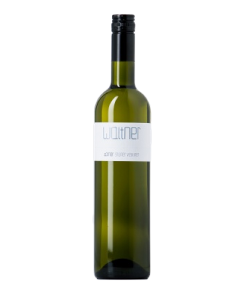 Waltner Gruner Veltliner “Steinberz”
